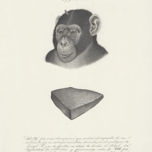 Betty (serie El Tratado de Humboldt)